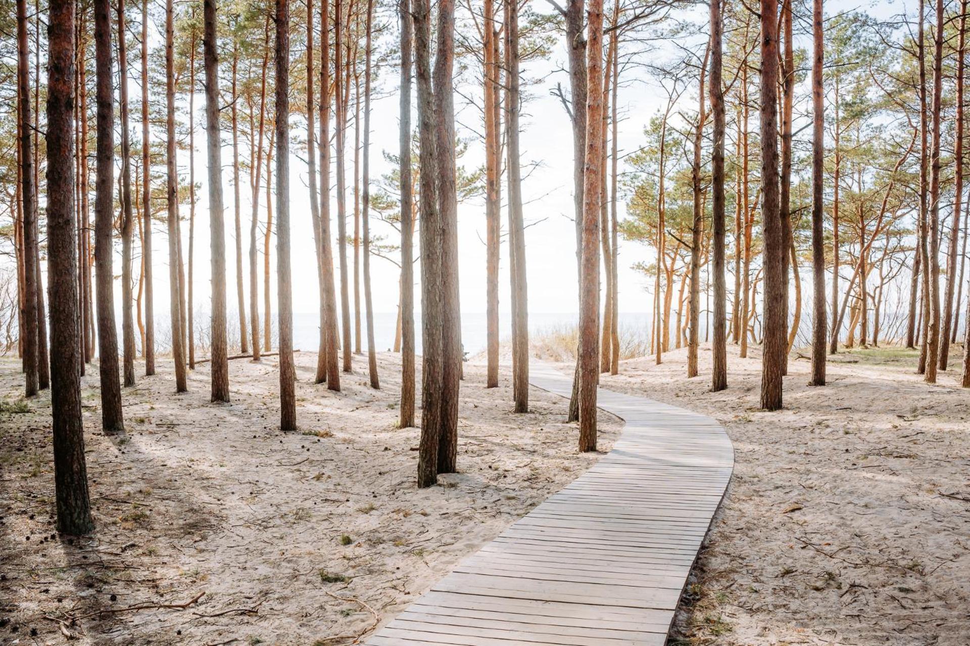 Hill Palanga & Spa Eksteriør billede
